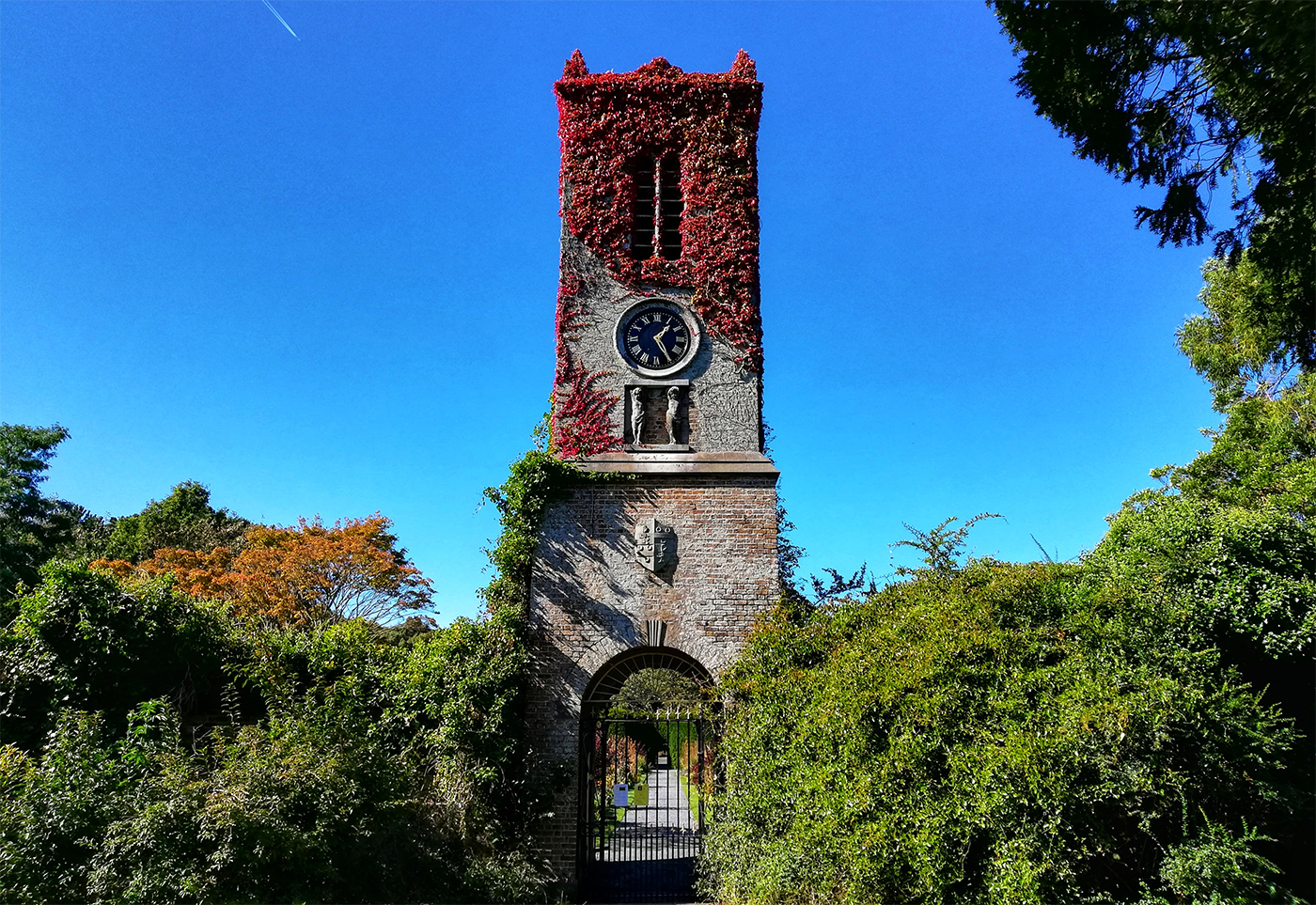 Saint Anne's Park Dublin Irlanda