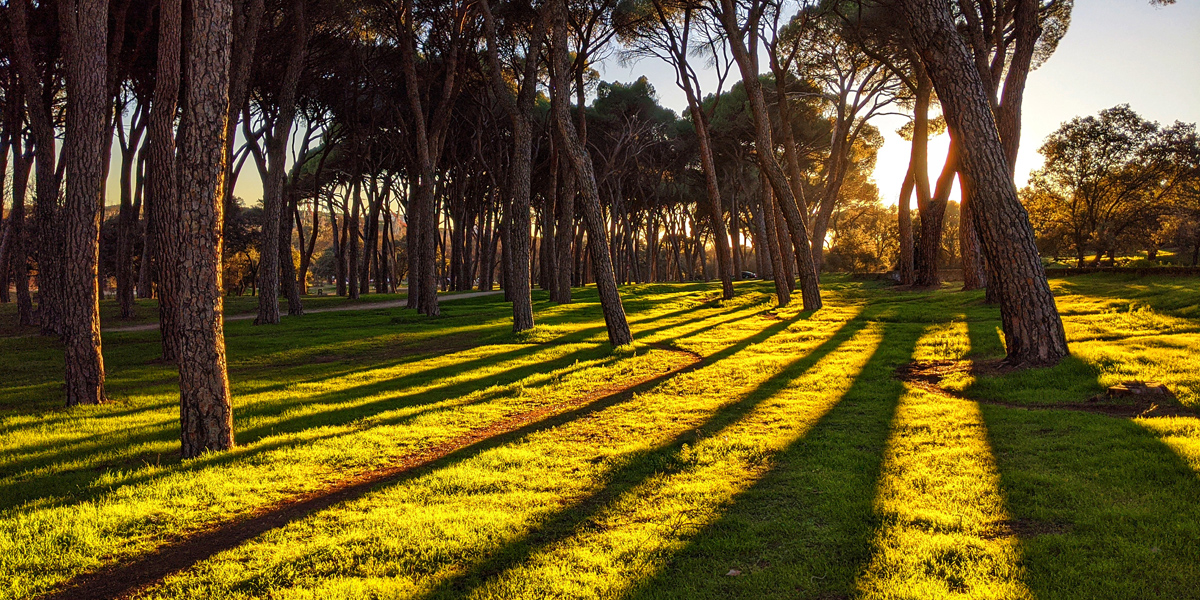 Casa de Campo em Madrid Espanha